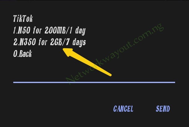 MTN 300 for 2GB Code for 7 days