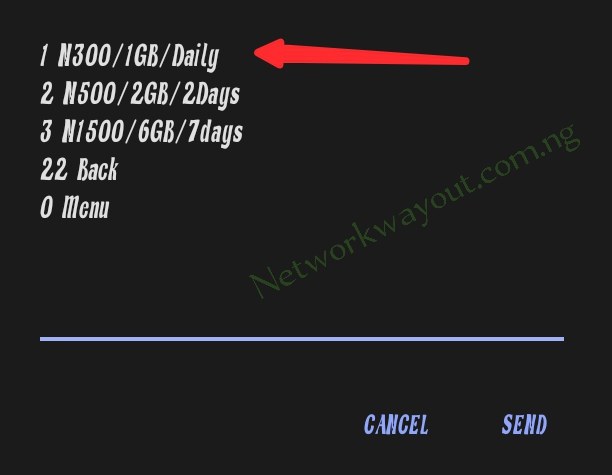 Airtel 300 for 1GB